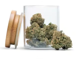 Ganjeez - Ganjeez - Flower - Rainbow Runtz - 14G Main Image