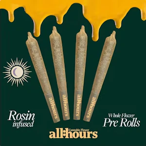 ALL HOURS - all:hours Hash Burger Rosin Roll Shorties 41545