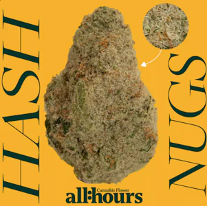 ALL HOURS - all:hours Nimbus Snacks Hash Nugs 41631