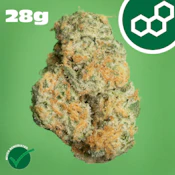 Black Cherry GMO 1oz 41653