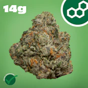 Gas Face 14g 41637