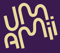 Big Head | Flower | 3.5g | Umamii