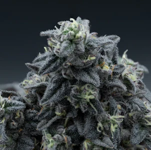 Grown Rogue - Grown Rogue | Reserve | Apple Cheesecake | 3.5g