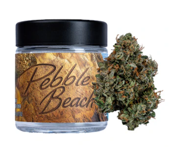 SEED JUNKY - Seed Junky - Pebble Beach - Flower - 14G