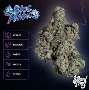 WIZARD TREES - Wizard Trees 3.5G Blue Magic Indoor Flower