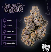 Wizard Trees 3.5G Black Magic Premium Indoor Flower