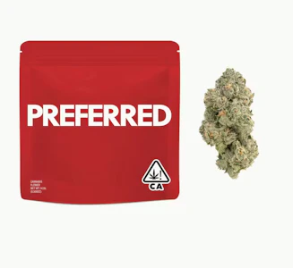 Preferred Gardens - PREFERRED 14G Verzace Premium Flower