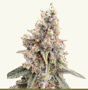 Victory Farms - [REC] Victory Natural Farms | Acapulco Gold | 3.5g Flower