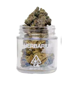 Herbarium | Versace | Hybrid 3.5g