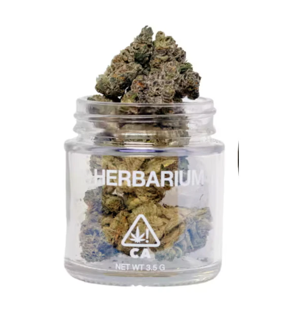 Herbarium - Herbarium | Versace | Hybrid 3.5g Main Image