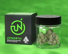 UpNorth - Blueberry Skunk 8th (3.5g)
