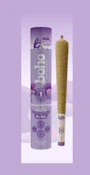 BOHO BURST | Grape | Double Infused | 5pk 2.5g