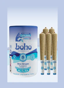 BOHO EUPHORICS - BOHO BURST | Blueberry | Single Infused | 5pk 2.5g