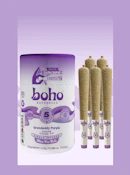 BOHO BURST | Grape | Single Infused | 5pk 2.5g