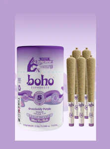 BOHO EUPHORICS - BOHO BURST | Grape | Single Infused | 5pk 2.5g