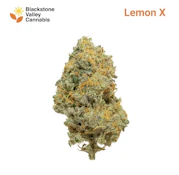 Lemon X | 3.5g A Buds | TAX INCLD