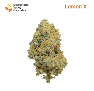 Blackstone Valley Cannabis - Lemon X | 3.5g A Buds | TAX INCLD