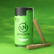 UPNORTH - Blueberry Pancakes - 5pk Indoor Prerolls