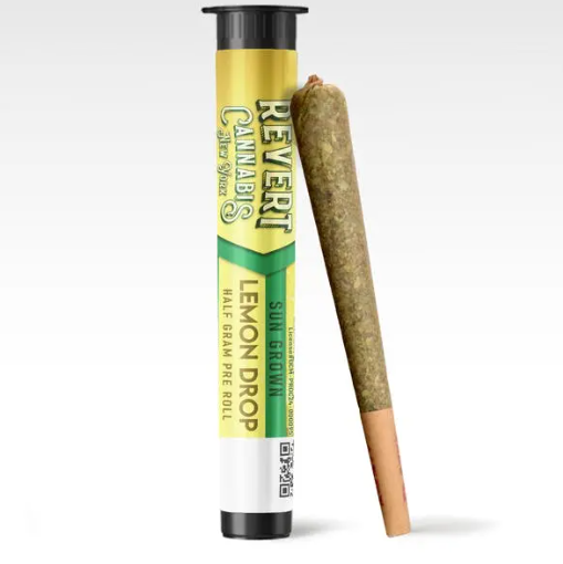 Revert | Pre Roll | Lemon Drop | .5g