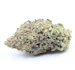 Product Preview Image 1