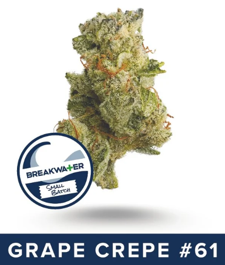 Breakwater | Grape Crepe | 3.5g | Flower