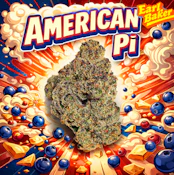 American Pie Jar 3.5 0095