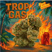 Trop Gas Jar 3.5 0100