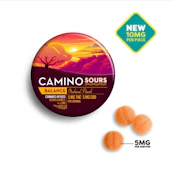 Camino Sours-Orchard Peach-10ct 00361