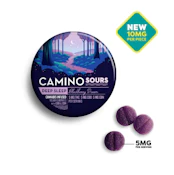 Camino Sours-Blackberry Dream-10ct 00395