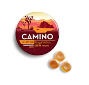 Camino-Pineapple Habanero-20ct 00421