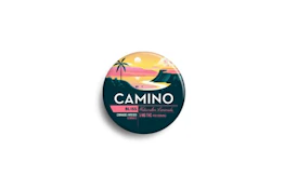 Camino-Watermelon Lemonade-20ct 00408