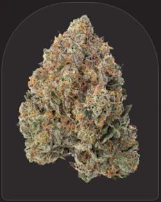 Fresh | Small Batch | Super Silver Haze x Gelato | 3.5g