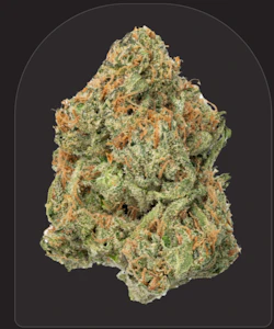 FRESH - Fresh | Small Batch | Durban Poison | 3.5g