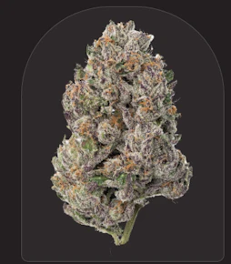 Fresh | Small Batch | Gelato Cake | 3.5g