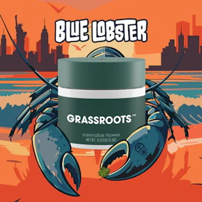 Grassroots | flower | blue lobster | 3.5G |