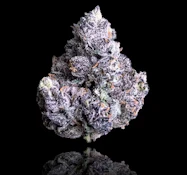 MAVEN 1G Prizm Indoor Flower