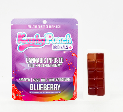 Originals Gummy Recover Blueberry CBD 2:1