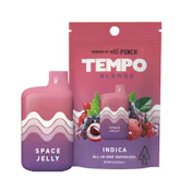 [TEMPO] Blends AIO Vape - 1g - Watermelon Frost (H)