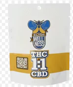 Elyon Wellness | Gush Mintz - CBD:THC:1:1 | 3.5g