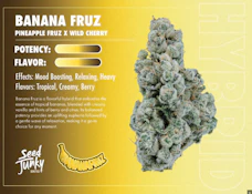  4pk - Banana Fruz - 4g (H) - Seed Junky