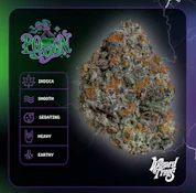 Wizard Trees Potion 3.5g Jar