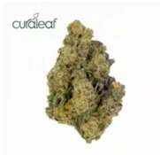 Curaleaf Whole Flower 3.5g Jayna's Sunshine (H) 01034