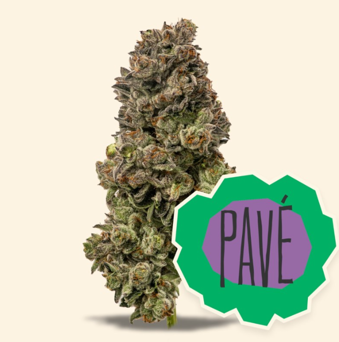 14g - Pave - Hybrid