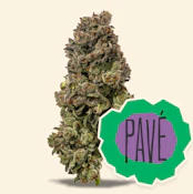 14g - Pave - Hybrid
