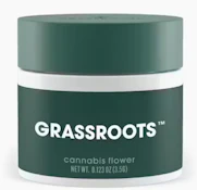 Jayna's Sunshine - 3.5G Flower