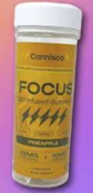 Cannisco CBD Infused Gummies | Focus | Pineapple