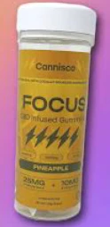 Cannisco - Cannisco CBD Infused Gummies | Focus | Pineapple Main Image