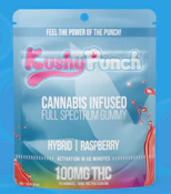 Kushy Punch - Blue Raspberry - 100mg - Edible