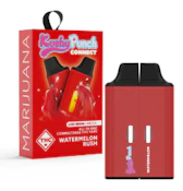 Kushy Punch - Connect - Watermelon Rush - 1g - AIO Disposable