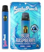 Kushy Punch - Blue Raspberry - 1g - AIO Disposable